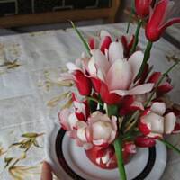 Dekoracja z rzodkiewki