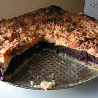 Doskonały pleśniak