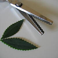 Przykład kolacji po rosole