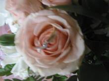 Fot. mags, oświadczam :D