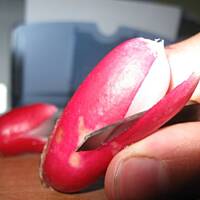 Dekoracja z rzodkiewki