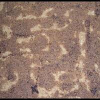 Ciasto kawowe od kasnika