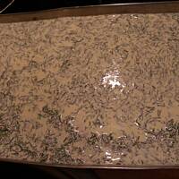 Zapiekanka z kaszy i grzybów