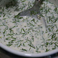 Roladki nadziewane w sosie koperkowym kasiuli