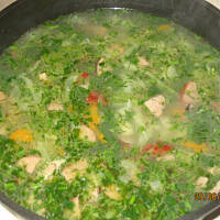 zupa z młodej białej  kapusty