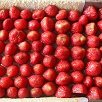 Ciacho z truskawkami w czekoladzie i pianką toffi