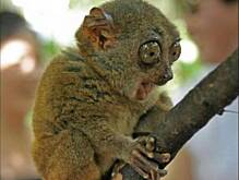 Fot. dj, Jaką macie tapetę.....