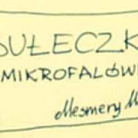 Bułeczki z mikrofalówki Mesmery Wonk