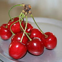 Czereśnie jako przystawka kasiuli - dwie wersje