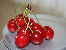 Fot. kasiul_a, Czereśnie jako przystawka kasiuli - dwie wersje