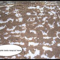 Następne ciasto kawowe od kasnika