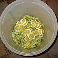 Sok  z kwiatow czarnego bzu