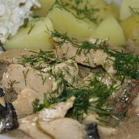 Duszona pierś w sosie grzybowo koperkowym kasiulii