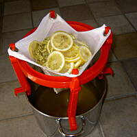 Sok  z kwiatow czarnego bzu