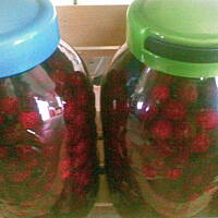 Naleweczka Wiśnióweczka