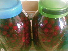 Fot. kaha87ha, Naleweczka Wiśnióweczka