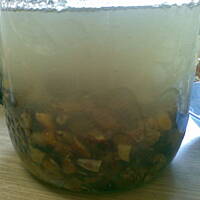 naleweczka z owoców egzotycznych