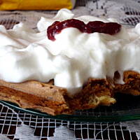 Gofry kakaowe i waniliowe