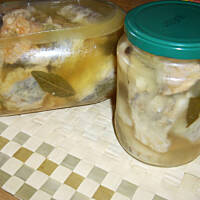 Szczupak i węgorz w zalewie wg Taty Różyczki