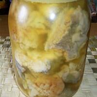 Szczupak i węgorz w zalewie wg Taty Różyczki