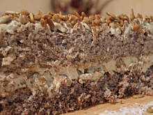 Fot. chmurki, Słonecznik Agaty