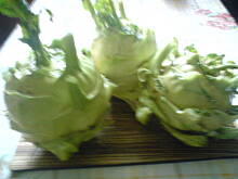 Fot. krysta, Ale urosły!