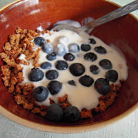 dietetyczna przekąska otręby z jogurtem i owocami