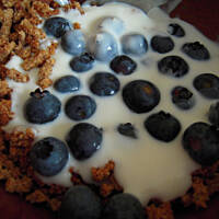 dietetyczna przekąska otręby z jogurtem i owocami