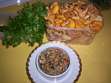 Fot. Mantu, Kureczki jak miód