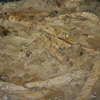 Borowikowo - schabowy gulasz kasiuli