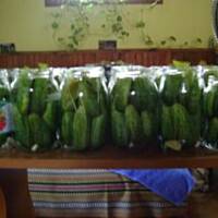 Ogórki kiszone dajanki