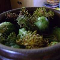 Ogórki kiszone dajanki