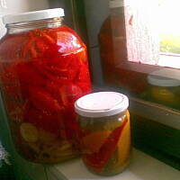 najpyszniejsza papryka marynowana cioci grażynki