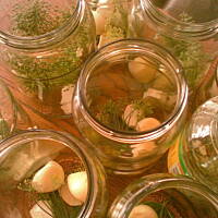 Całe buraczki marynowane