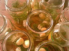 Fot. kaha87ha, Całe buraczki marynowane