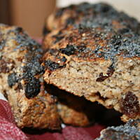 Chlebek z śliwką rodzynkami i makiem kasiuli