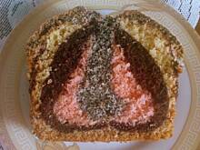 Fot. Misiadełko, TULIPAN barwny