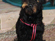 Fot. niebieska-różyczka, Czy to nie dziwne?