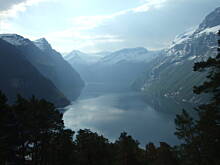 Fot. spajdermen, gierangier