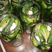 Ogorki konserwowe-moje ulubione