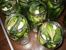Fot. asiula76, Ogorki konserwowe-moje ulubione