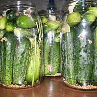 Ogorki konserwowe-moje ulubione