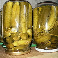 Ogorki konserwowe-moje ulubione