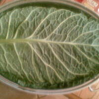 Duszonki mojego taty