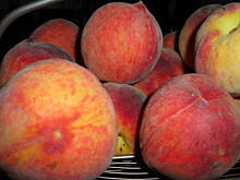 Fot. kamila258, Ciasto ze świeżymi brzoskwiniami