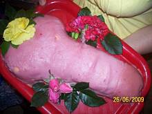 Fot. Basia_m, Tort na wieczór panieński