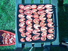 Fot. llilijka, suszone pomidory ll