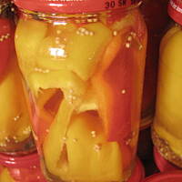 papryka konserwowa na zimę