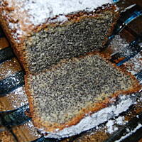 piegusek Agaty - najprostszy