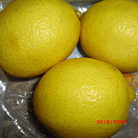 Muffinki cytrynowe z makiem